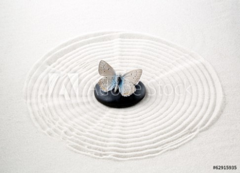 Picture of Zen stone with butterfly